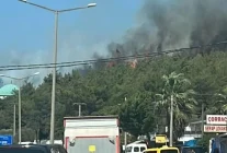 Bodrum’daki orman yangını kontrol altına alındı