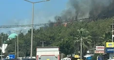 Bodrum’daki orman yangını kontrol altına alındı