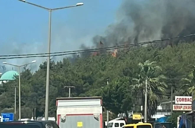 Bodrum’daki orman yangını kontrol altına alındı