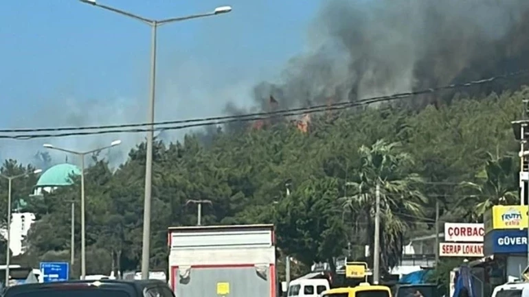 Bodrum’daki orman yangını kontrol altına alındı